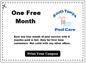 South tampa pool care